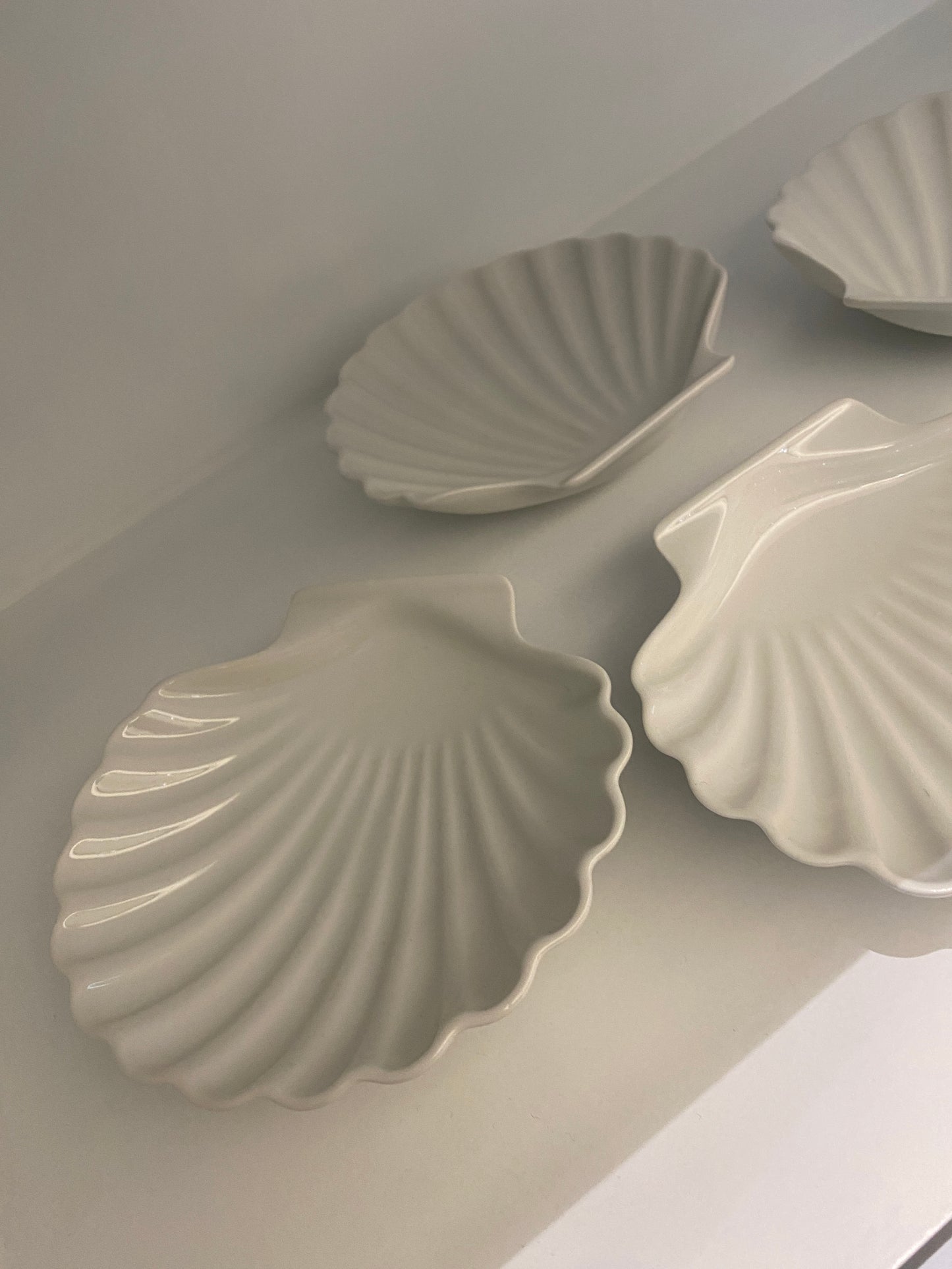 Small White Shell Plates